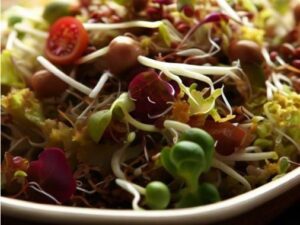 Sprouts Salad Recipe