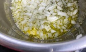 Instant Pot Vegetable Korma Recipe